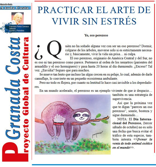 oso-perezoso de ponce