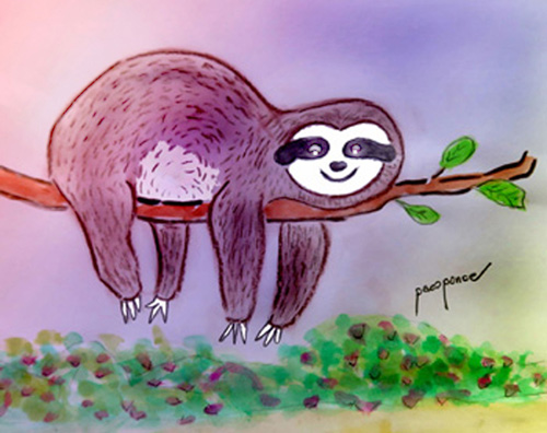 poner-oso-perezoso